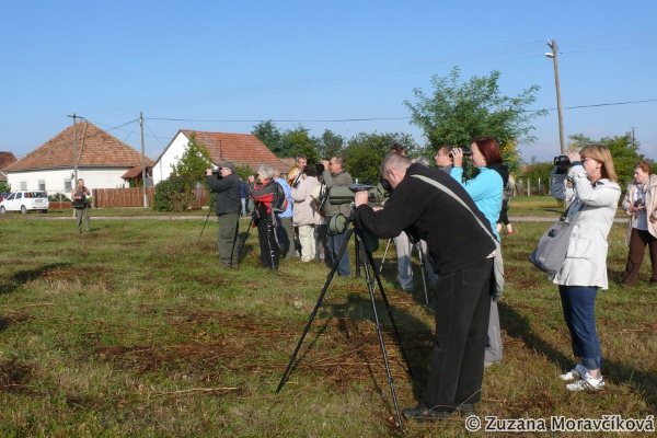 Ranné pozorovanie žeriavov