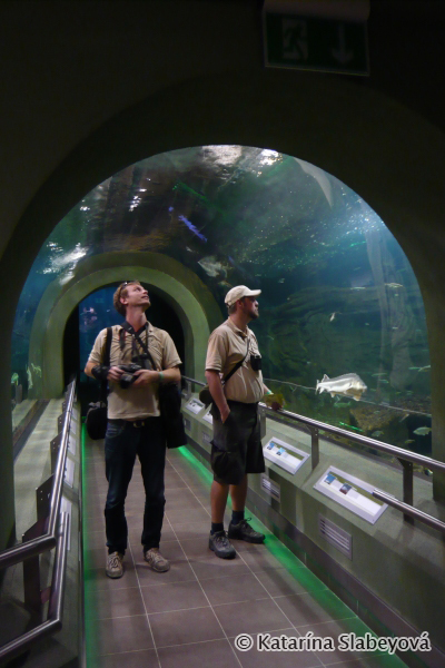 aquarium in ecocenter / akvárium v ekocentre