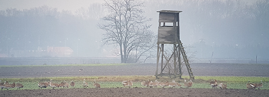 Ticha dolina Jan Dobsovic panorama